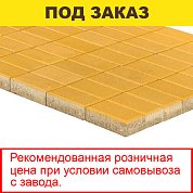 Плитка тротуарная BRAER, "Прямоугольник",&nbsp;&nbsp;200*100*60мм, желтый (12,96 кв.м) 648шт.